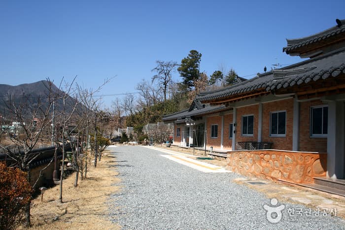 Museum of Natural Dye Arts (자연염색박물관)