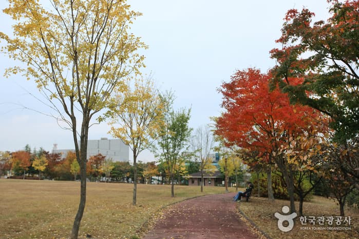 5.18 기념공원_062