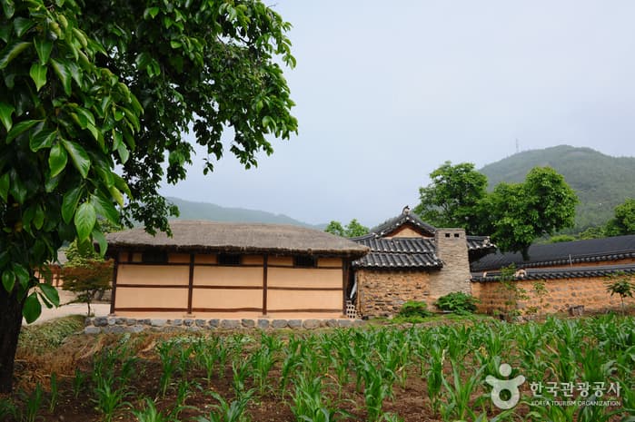 고성왕곡마을(한옥체험)