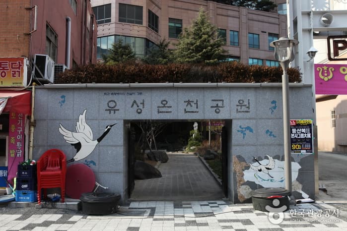 대전_유성온천 17