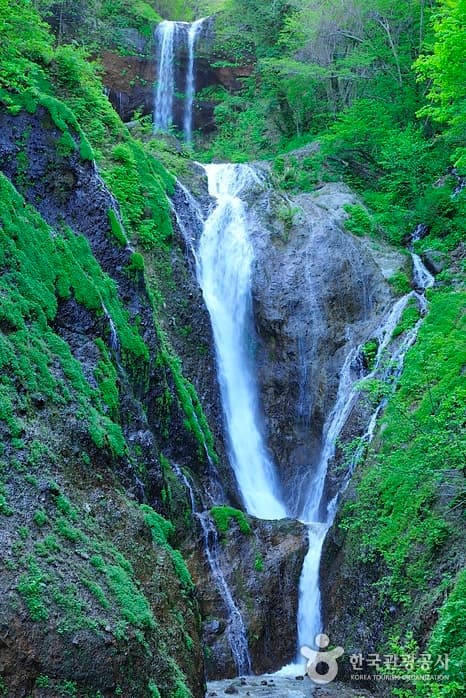경북_울릉_봉래폭포02