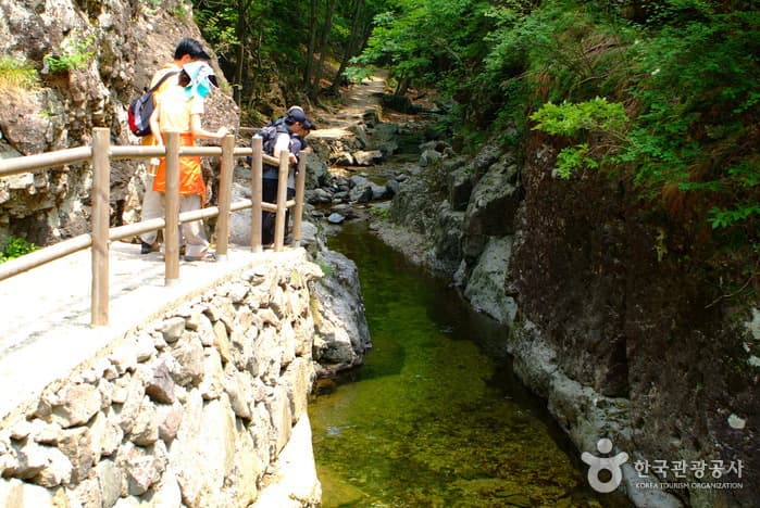 주왕산제2폭포_12