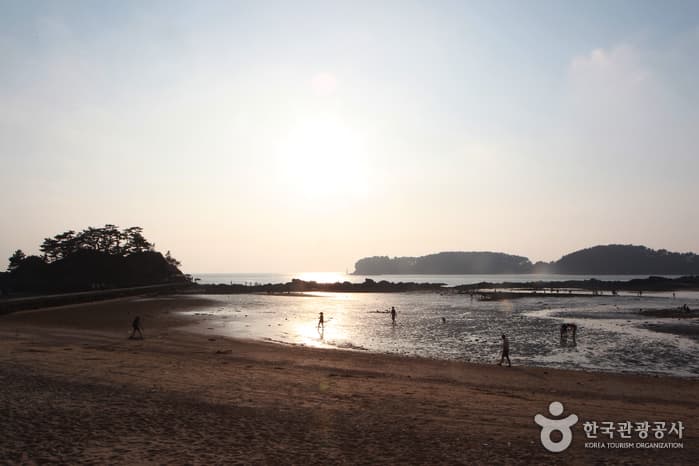 충남_보령_무창포신비의바닷길축제06