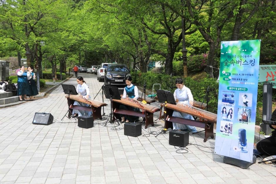 2024 양평 용문산 산나물축제 이미지 12