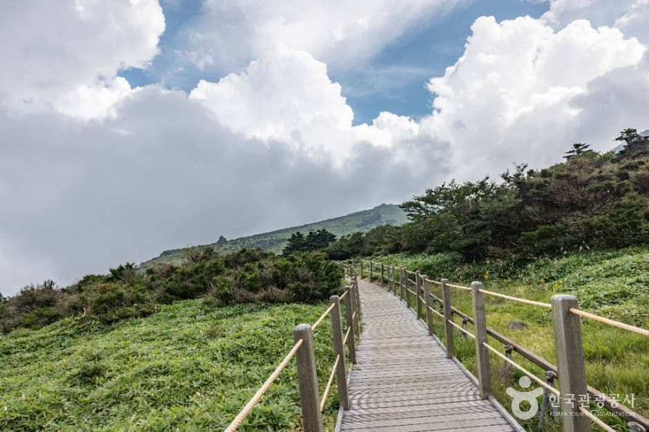 제주_한라산 영실 (8)