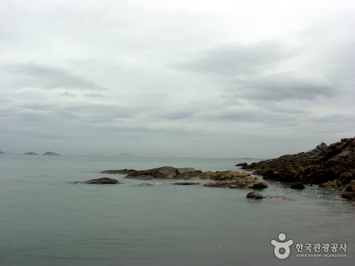 고사포송림해수욕장_세부01