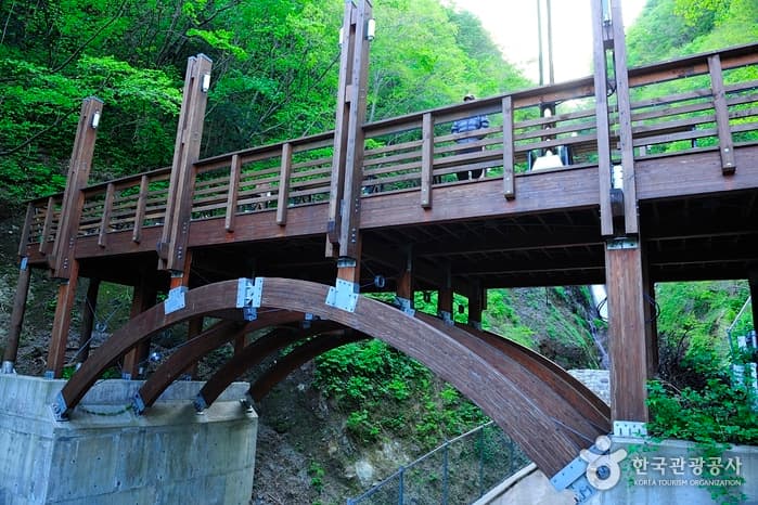 경북_울릉_봉래폭포03