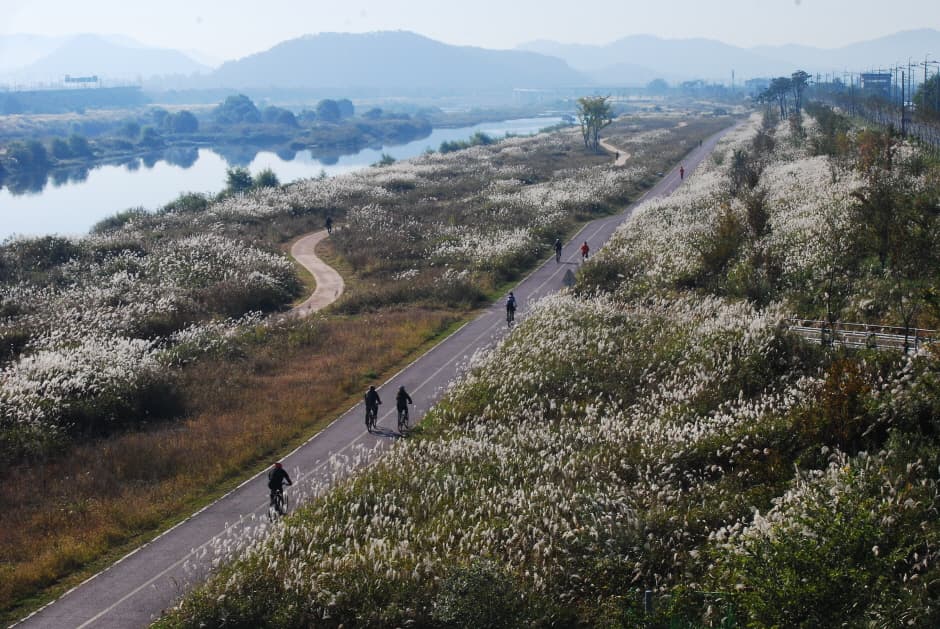 영산강 극락 친수공원 일원_3