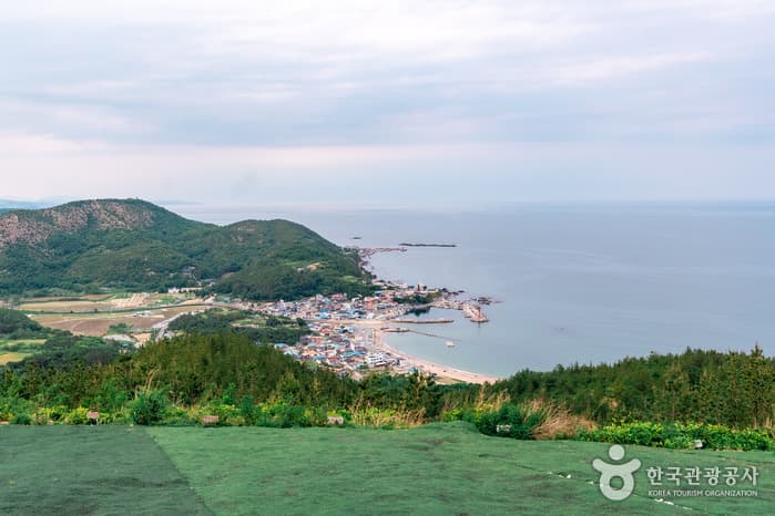 It’s 체리 타임! 6월 한정판 체험 새콤달콤한 체리 따러 포항으로_곤륜산 활공장_05