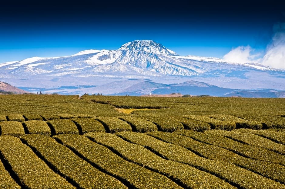 한라산_1_국가지질공원