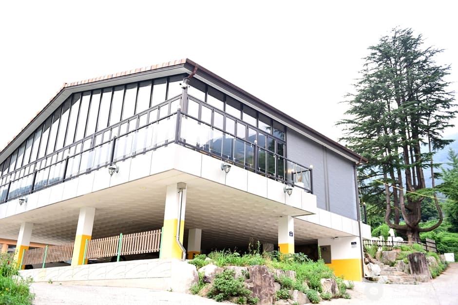 전남_화순_올라알파카카페 (1)