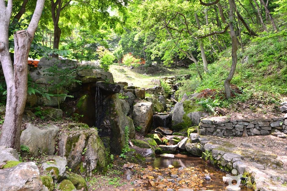 전남_화순_백아산자연휴양림 (5)