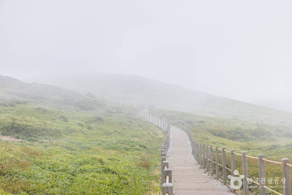 제주_한라산 영실 (9)