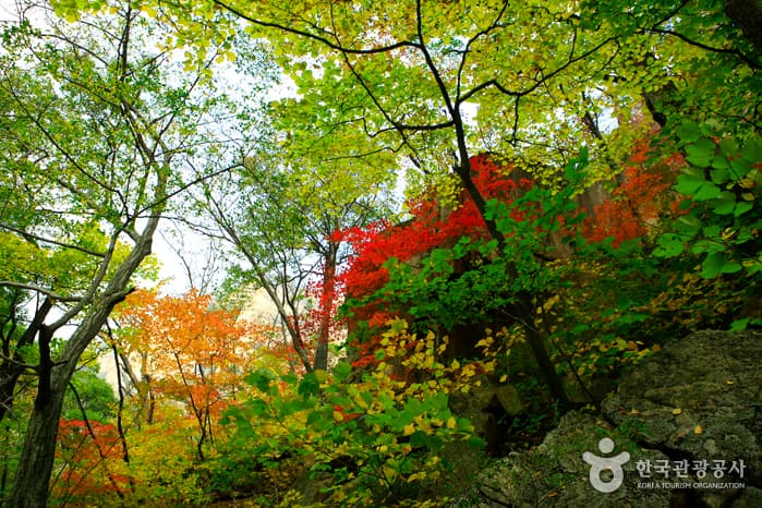 설악산국립공원(오색) 주전골 자연관찰로_18