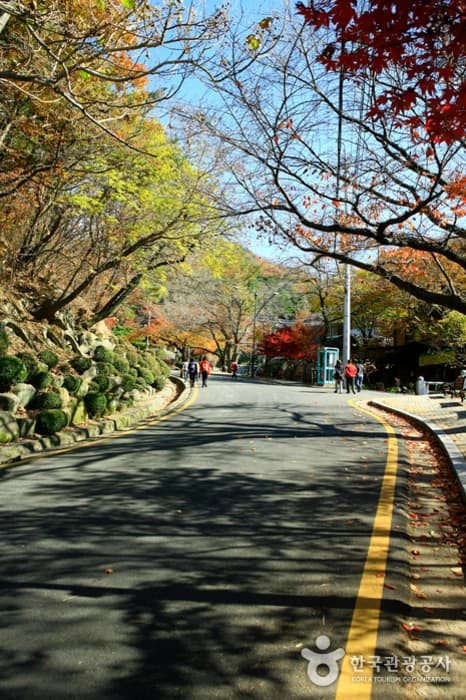 팔공산도립공원_1