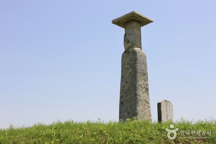 전라북도_익산시_익산 고도리석불입상_027