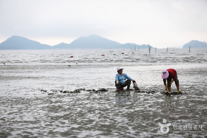 청사초롱_변산반도에서 보낸 어떤 하루14-1
