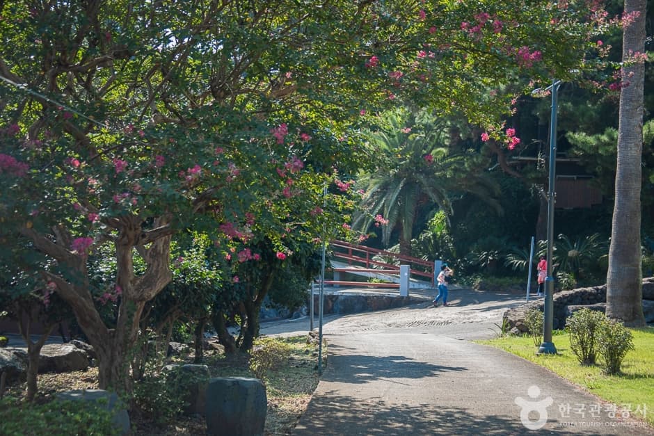 약천사(제주) (13)