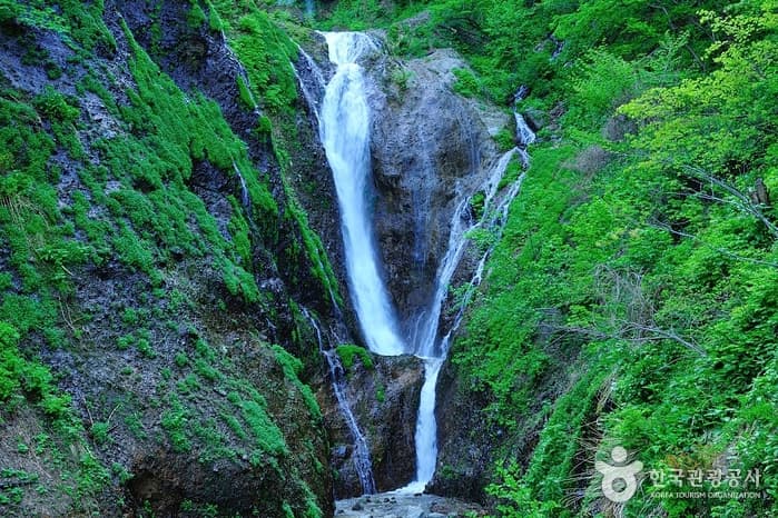 Bongnaepokpo Falls [Ullengdo & Dokdo National Geopark] (봉래폭포 (울릉도, 독도 국가지질공원))