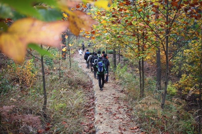 속리산둘레길 보은길_(6)