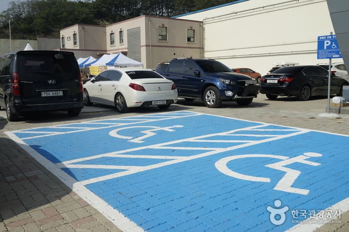 충청북도_청주중앙공원12