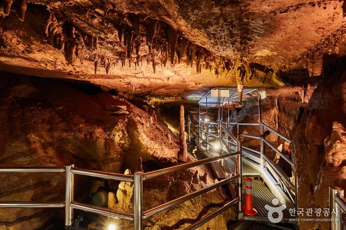 천곡황금박쥐동굴과 자연학습체험공원 2021 촬영 5