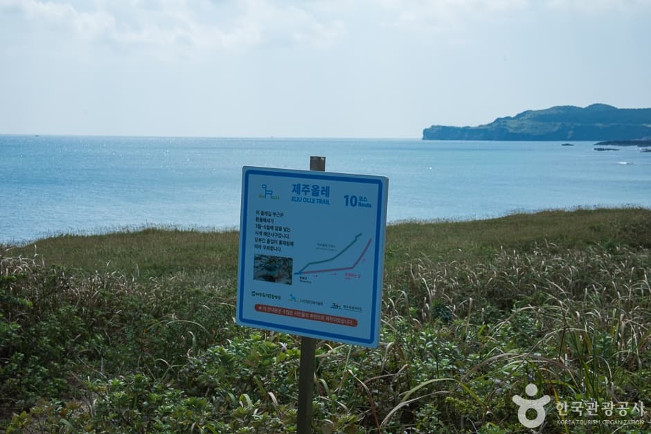사계해변(3)
