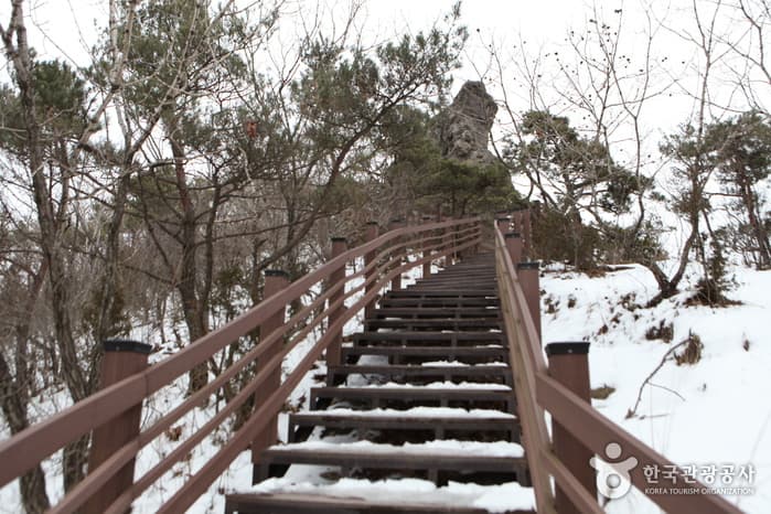 전북_고창_선운산도립공원25