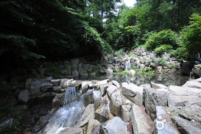 덕유산자연휴양림