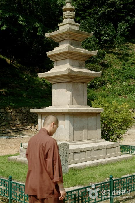 전남_해남_대흥사(해남)02