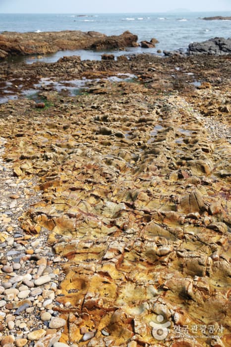 청사초롱_변산반도에서 보낸 어떤 하루16