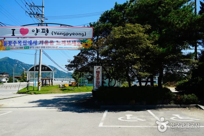 경기_양평들꽃수목원01