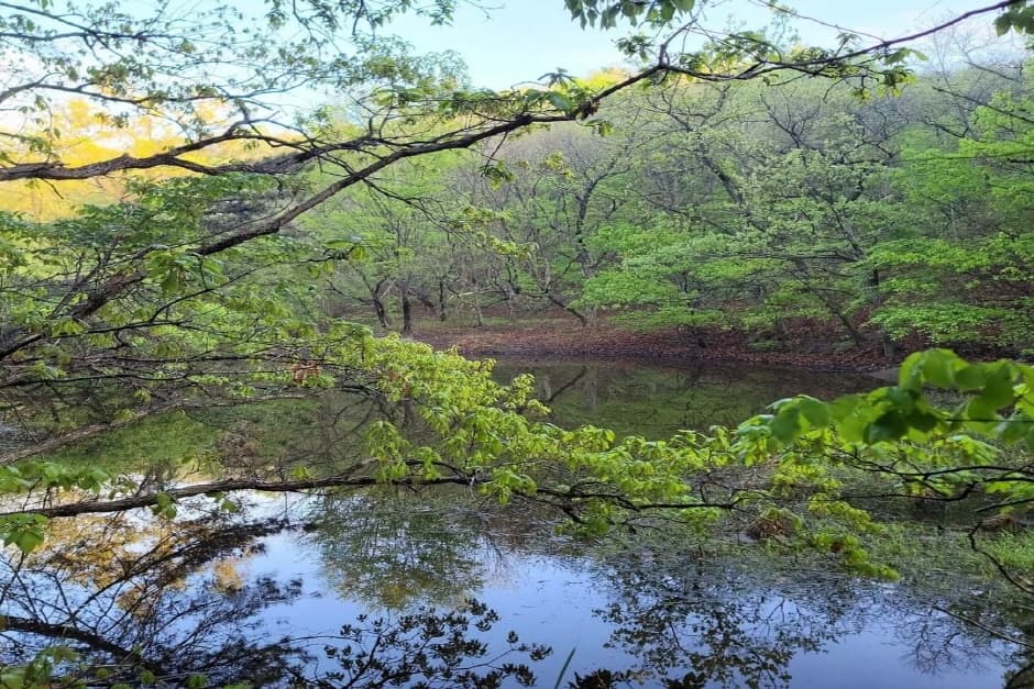 관광두레 주민사업체 울주 와나스타 5