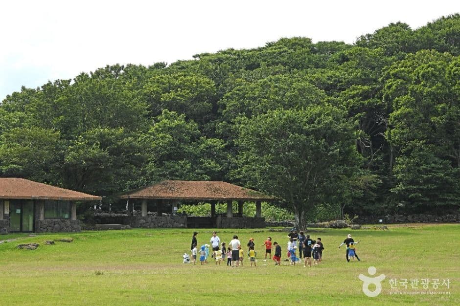 제주 교래자연휴양림 (4)