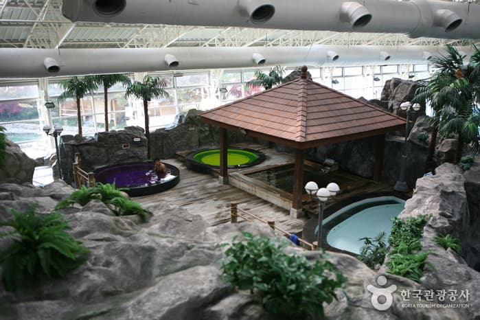 대명리조트 단양 아쿠아월드_06