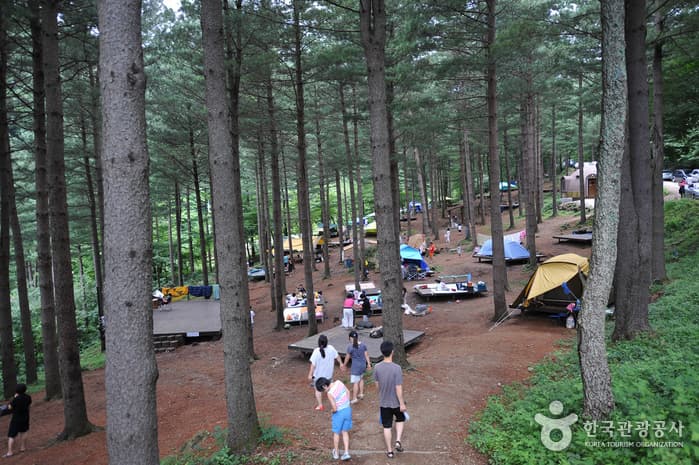 덕유산자연휴양림