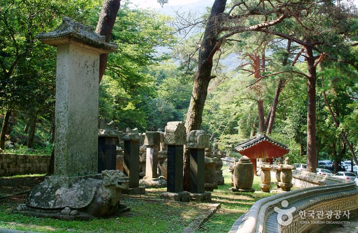 전남_해남_대흥사(해남)03