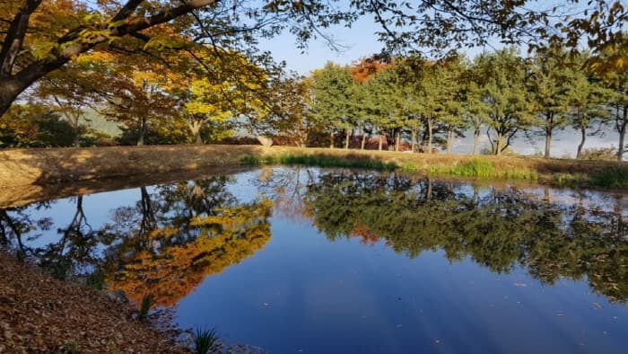 가산수피아_3