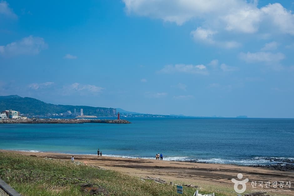 사계해변(5)