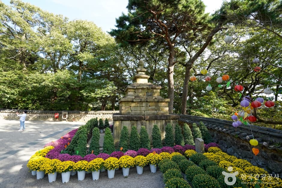 경북_구미_도리사(구미) (14)