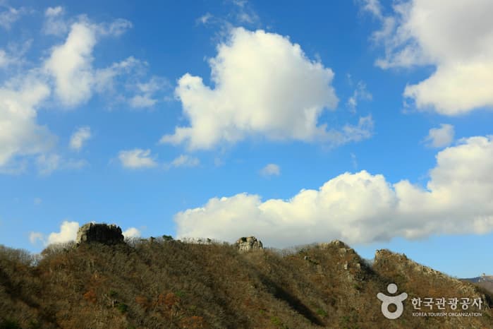 팔공산도립공원_4