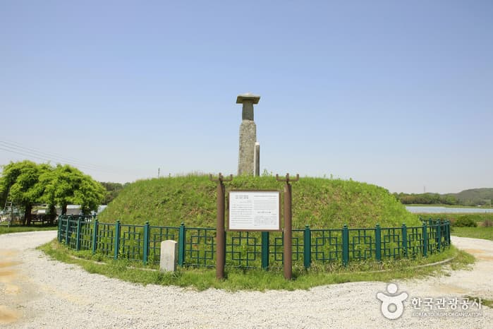 전라북도_익산시_익산 고도리석불입상_031