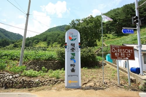 강원도_삼척시_삼척 덕풍계곡마을_021