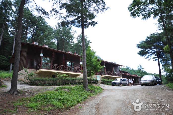 덕유산자연휴양림
