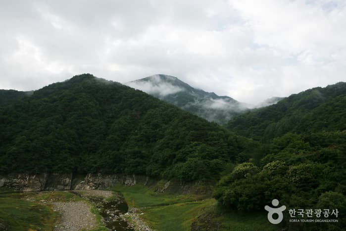 충북_충주_597번 도로 힐링드라이브 5 (월악산 송계계곡)