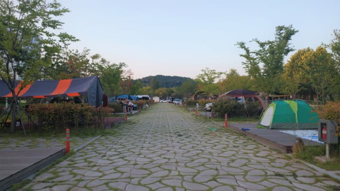 시민의 숲 야영장_3
