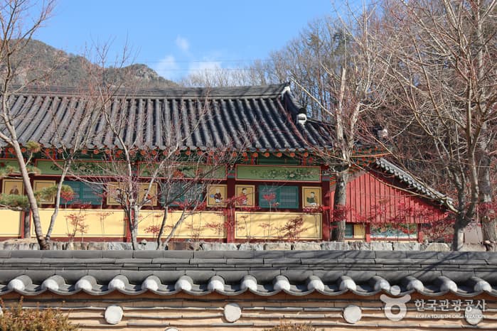 경북_청송_[소도시 낭만여행 마이리틀시티] 겨울을 더 겨울답게, 얼음꽃 피고 지는 ‘겨울왕국’ 청송_11