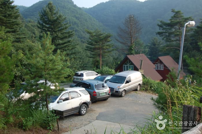 주천강강변자연휴양림_07