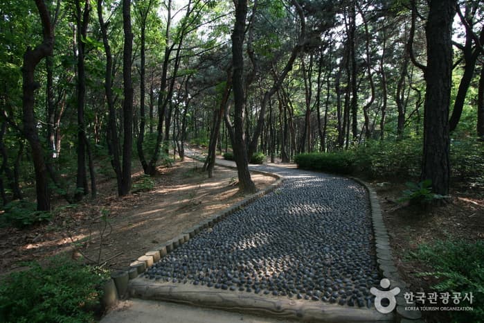 서울시 송파구 오금공원16