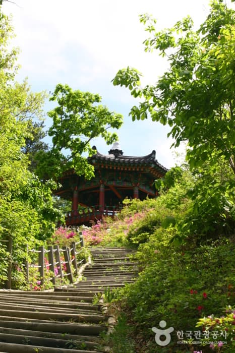 충북_영동_도마령05(정상 상용정)